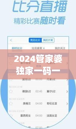 2023澳门管家婆正版资料汇编，QBX710.64极速版安全评估指南