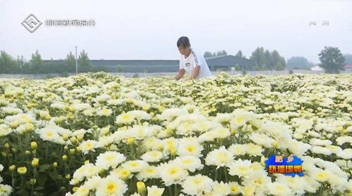 涉县最新招聘信息，变化中的机会，学习成就未来之路