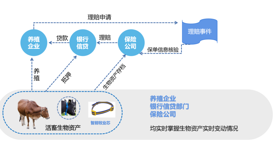 2024年新澳正版资料解析与创新策略_OTU5.23.57快速版