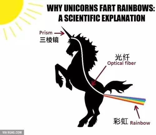 澳门中特网,科学分析解释说明_VUW51.247交互版