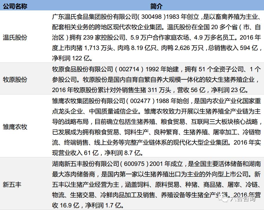 新澳资料免费长期公开,专业解读操行解决_NGN54.880内容创作版