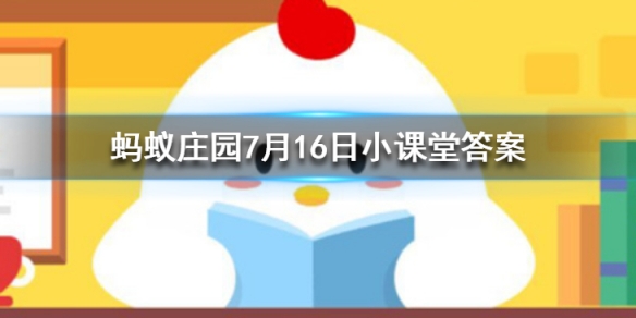 小鸡庄园最新答题，知识与乐趣并存的励志之旅开启！