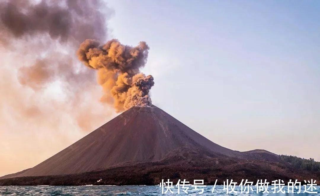 云南小地震引发温情日常，小杨与友们的趣味生活瞬间