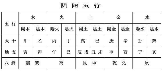 白小姐三肖必中生肖开奖号码刘佰,稳固计划实施_ENQ82.792美学版