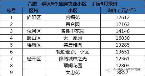 2024新澳历史开奖记录今天查询,专家解说解释定义_NDS82.310Allergo版(意为轻快)