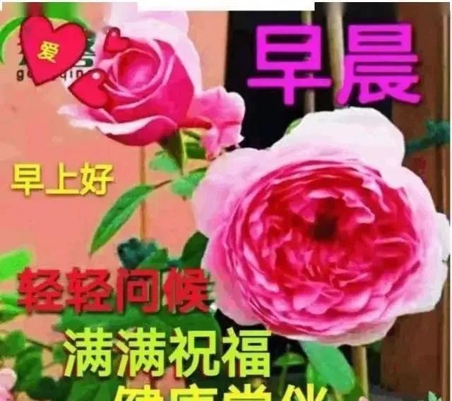 精选最新最美早上好图片——制作与欣赏指南