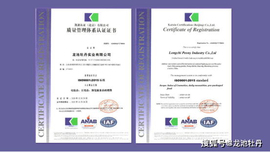 ISO9001质量管理体系标准最新版详解与观点阐述