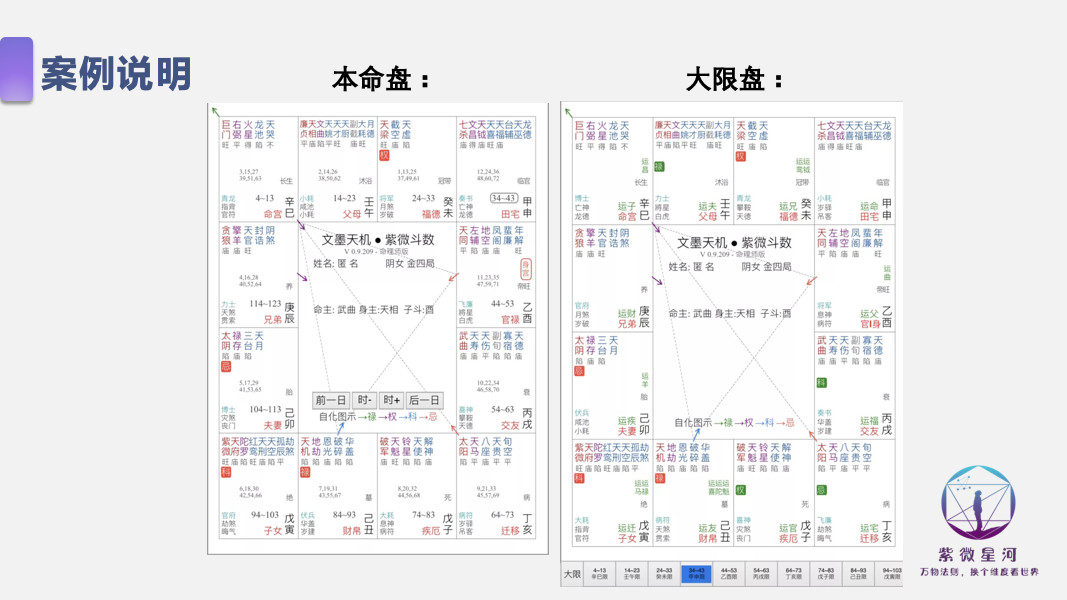 3肖6码免费公开肖,实地应用实践解读_TSN72.698计算机版