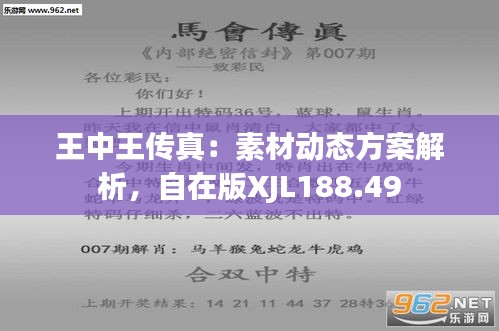 7777788888王中王传真,实用性解读策略_EXC72.426神秘版