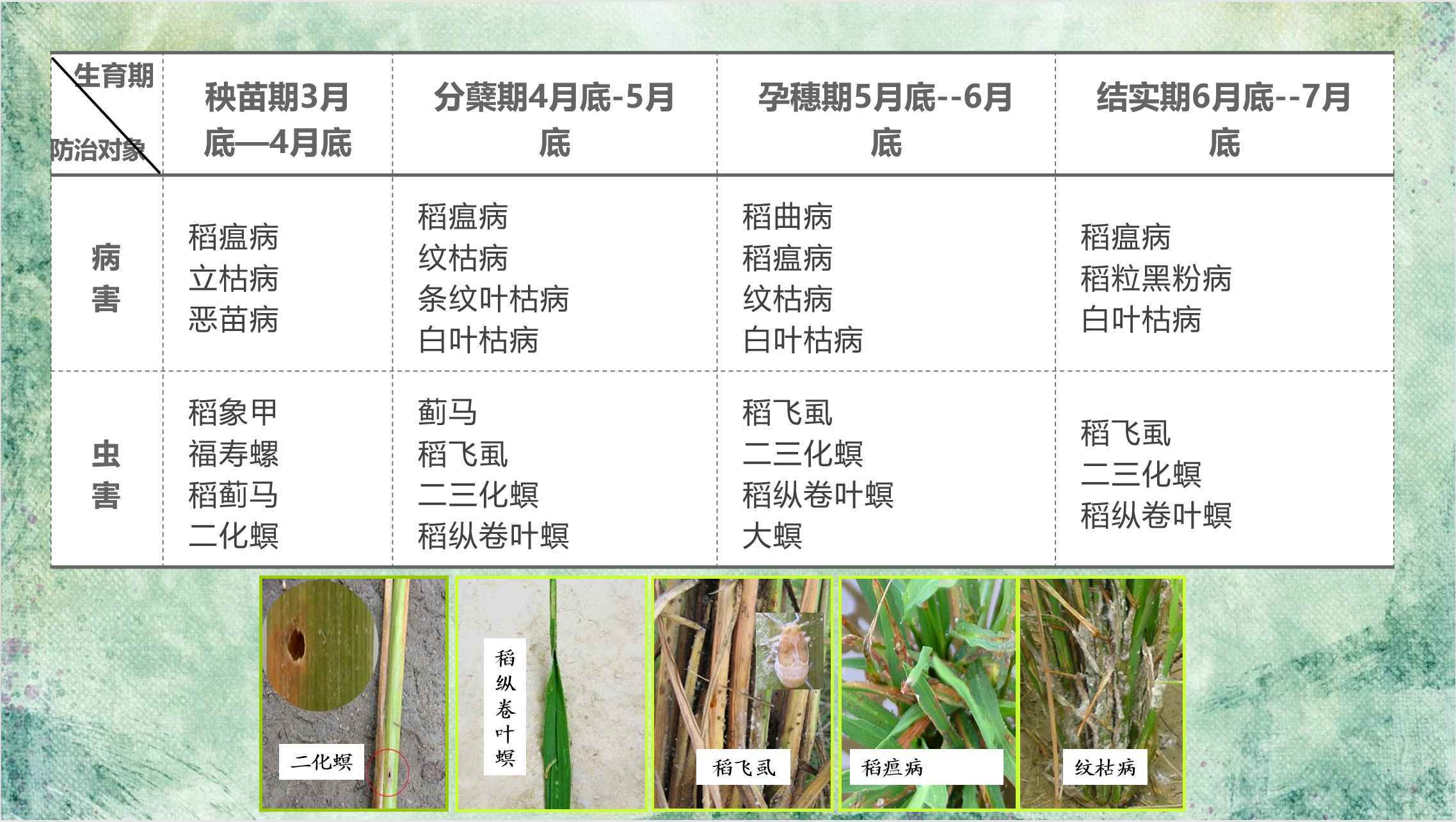 新奥门特寺免费资料大全,科学依据解析_OOB72.132安全版