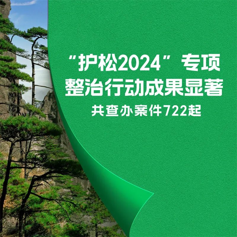 2024天天彩资料大全免费,稳健设计策略_IVU72.722影像版