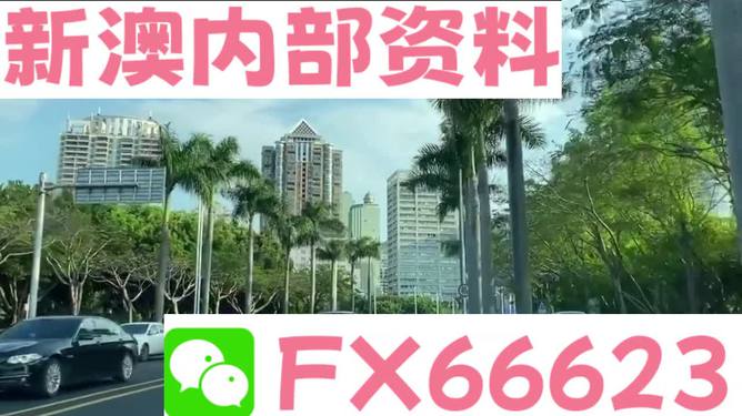 新澳精准资料免费提供网站,创新推广策略_限量版18.333