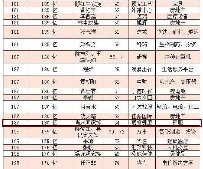 2024澳家婆一肖一特,高效计划分析实施_网红版72.385