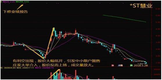 桐昆股份最新利好动态全景解析，掌握最新利好消息的全面指南