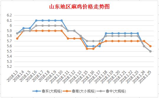 山东麻鸡价格最新动态报告