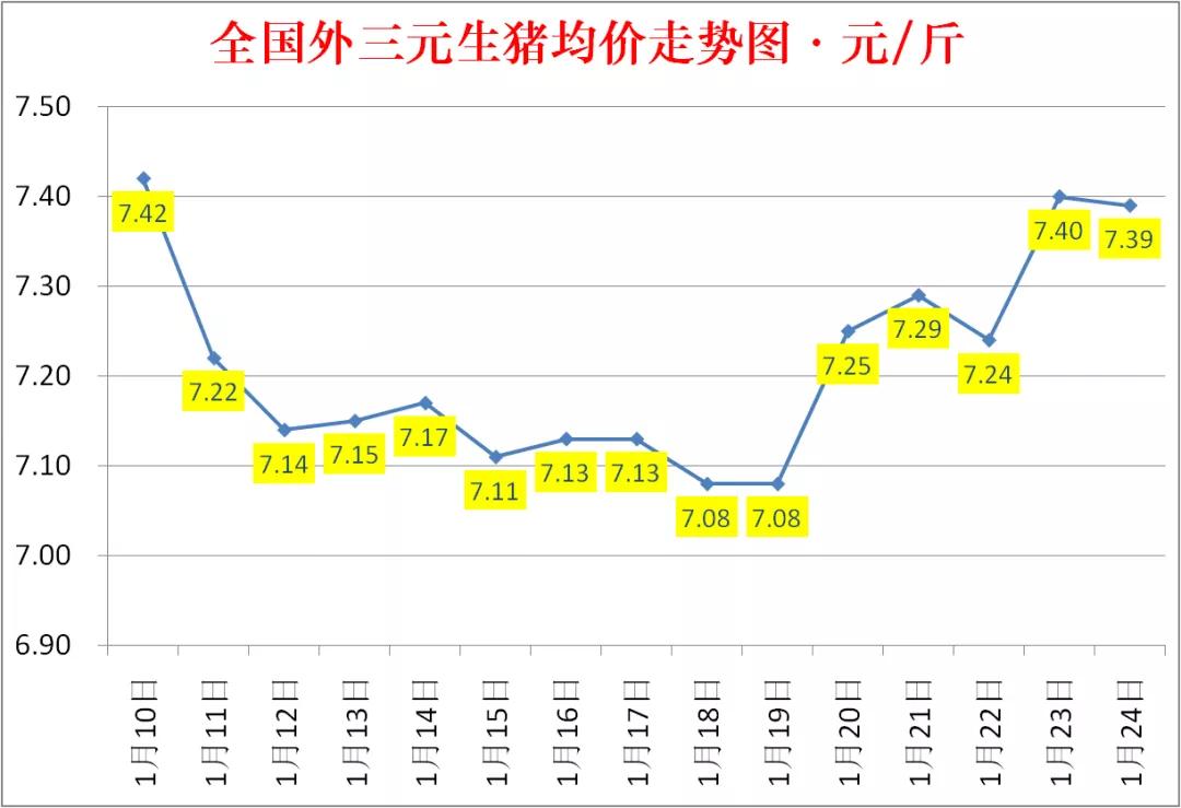 全国最新生猪价格表深度解析与观点阐述