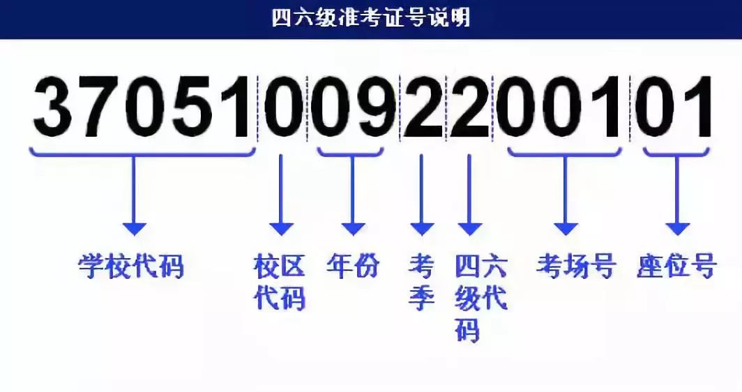 2024澳门历史开奖记录65期,快速解答方案设计_RBB35.996旗舰设备版