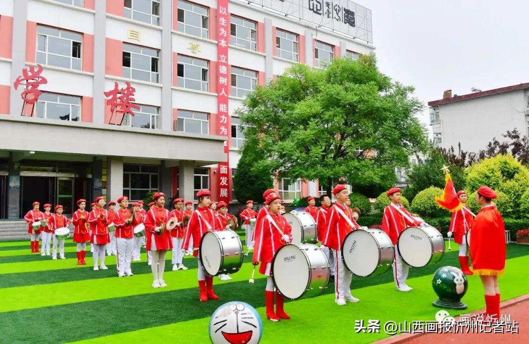 最新视频教程在线观看与学习指南，轻松上手，随时随地学习