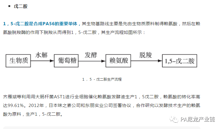 最新理论引领下的自信与成长阶梯