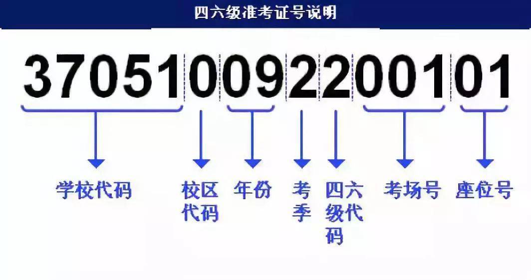 494949最快开奖结果电视剧,实时处理解答计划_XSR77.910教育版