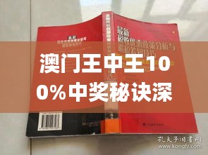 澳门王中王100%正确答案最新章节,案例实证分析_DQW77.445创意版