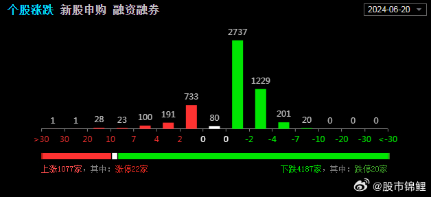 精准一肖100,精准数据评估_JHC77.776美学版