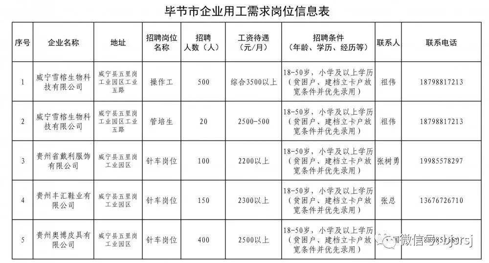 毕节最新招聘信息及其动态分析