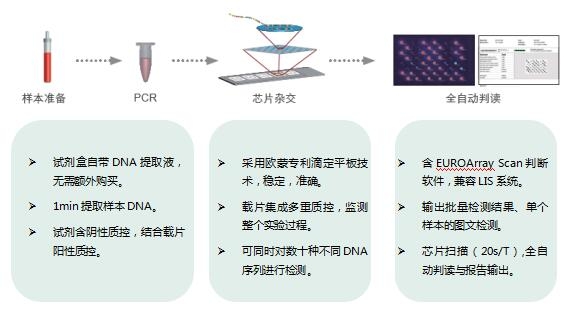 777888精准一肖,定性解析明确评估_MSP34.841活动版