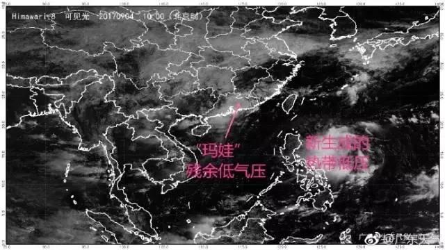 玛娃最新动态更新