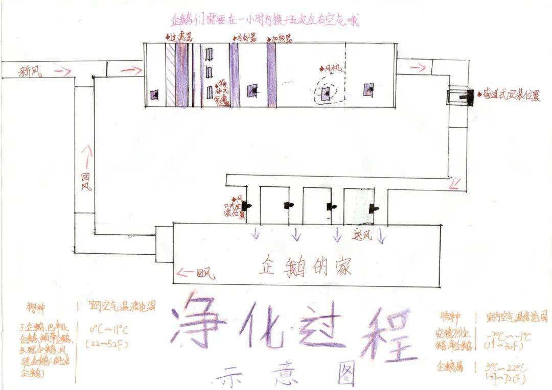 李沁最新动态，变化中的力量，自信与成就感的源泉