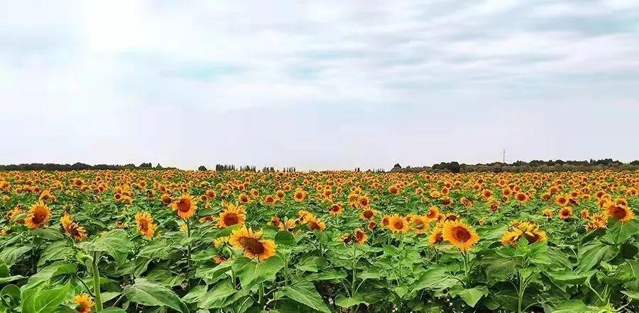 谷歌最新卫星地图,谷歌最新卫星地图，探索地球的新视界