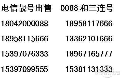 电信最新号段申请与使用指南，全面解析最新号段及申请流程