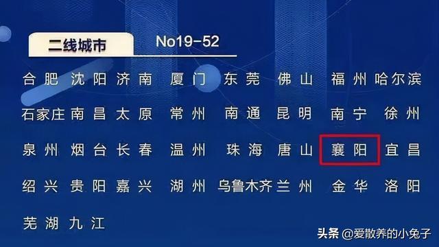 新奥彩资料,最新澳彩资料,社会责任法案实施_SGH57.528为你版