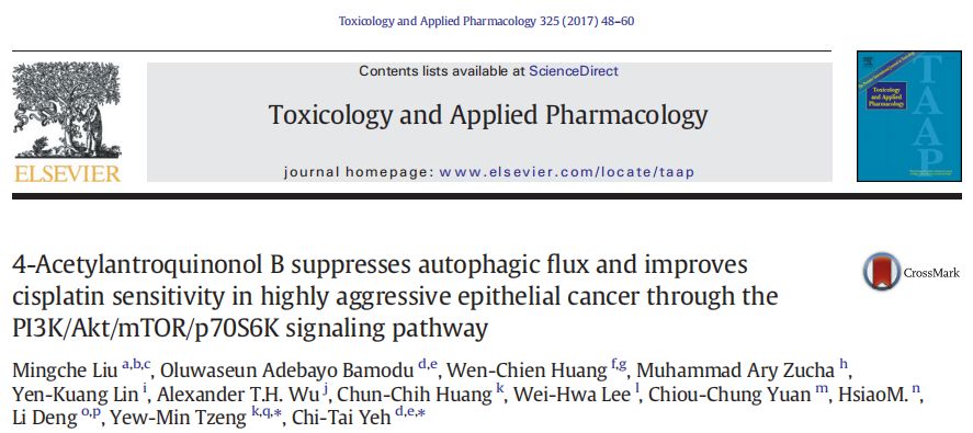 新澳门精准内部资料免费,科学依据解析_KBF57.411多元文化版