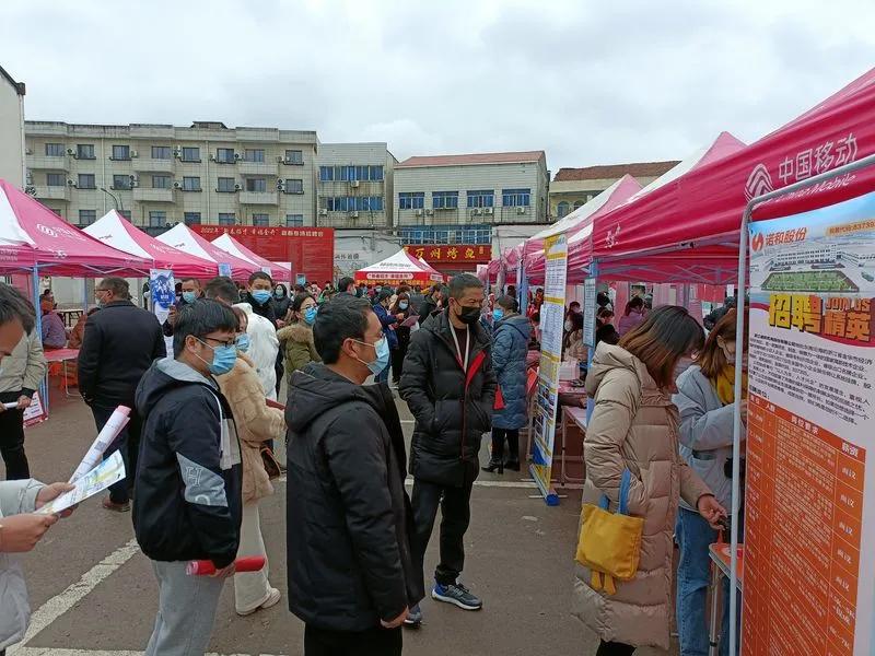 浙江普工最新招聘信息，科技引领智能招聘新时代，开启职场新篇章