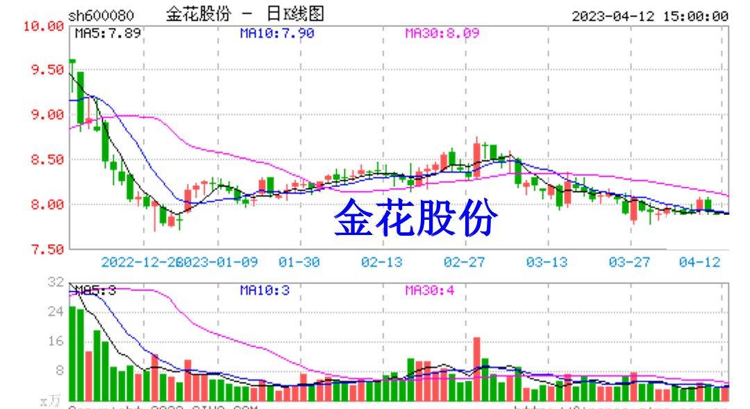 金花股份最新消息