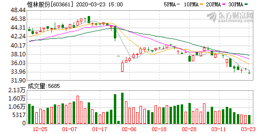 恒林股份最新消息,恒林股份最新消息与温馨的日常故事