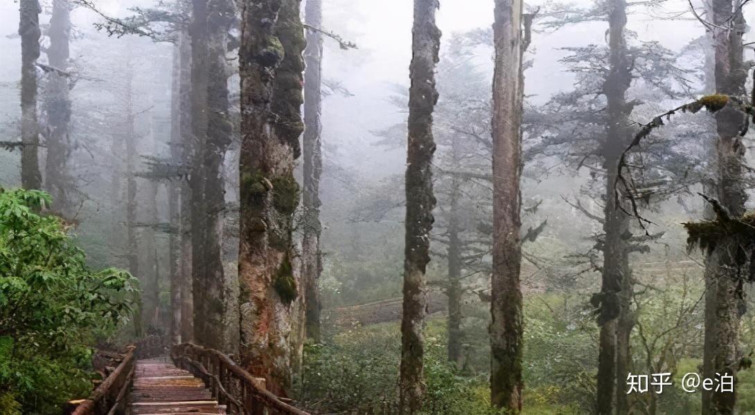 前田香织最新,前田香织的最新旅程，探索自然美景，寻找内心的平和