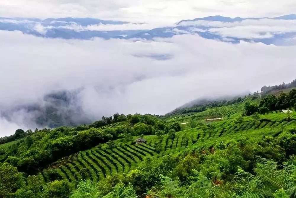 中国首都搬迁最新消息,中国首都搬迁最新消息，一起踏上自然美景的探索之旅