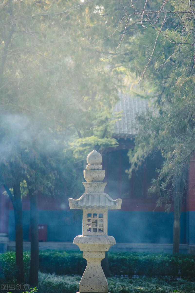 钩最新花朵,钩最新花朵，一场与自然美景的轻松遨游