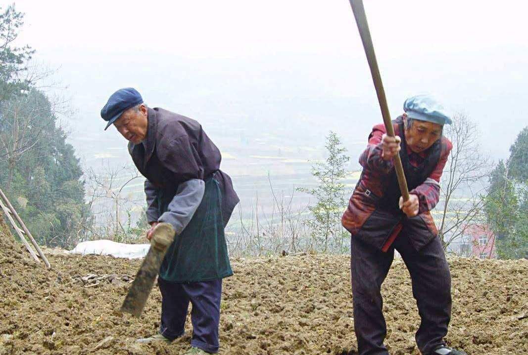 农民大黑带你探寻乡村生活的真实面貌，最新视频揭秘乡村风情