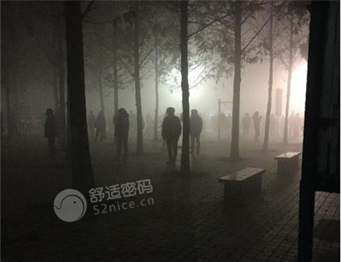 欢夜最新版，友情之夜的温馨趣事集锦