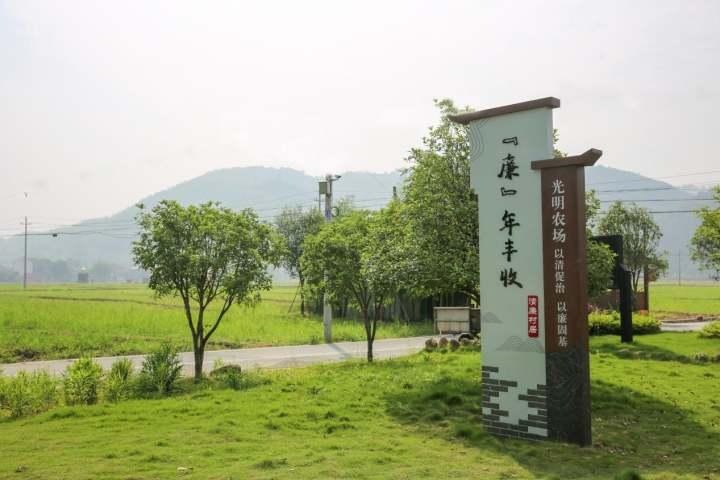 光明大陆神秘小巷深处的bug与美食宝藏揭秘