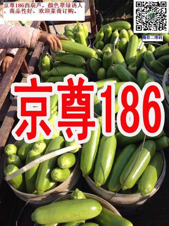 永年蔬菜价格概览，绿果网一站式信息服务平台为您呈现