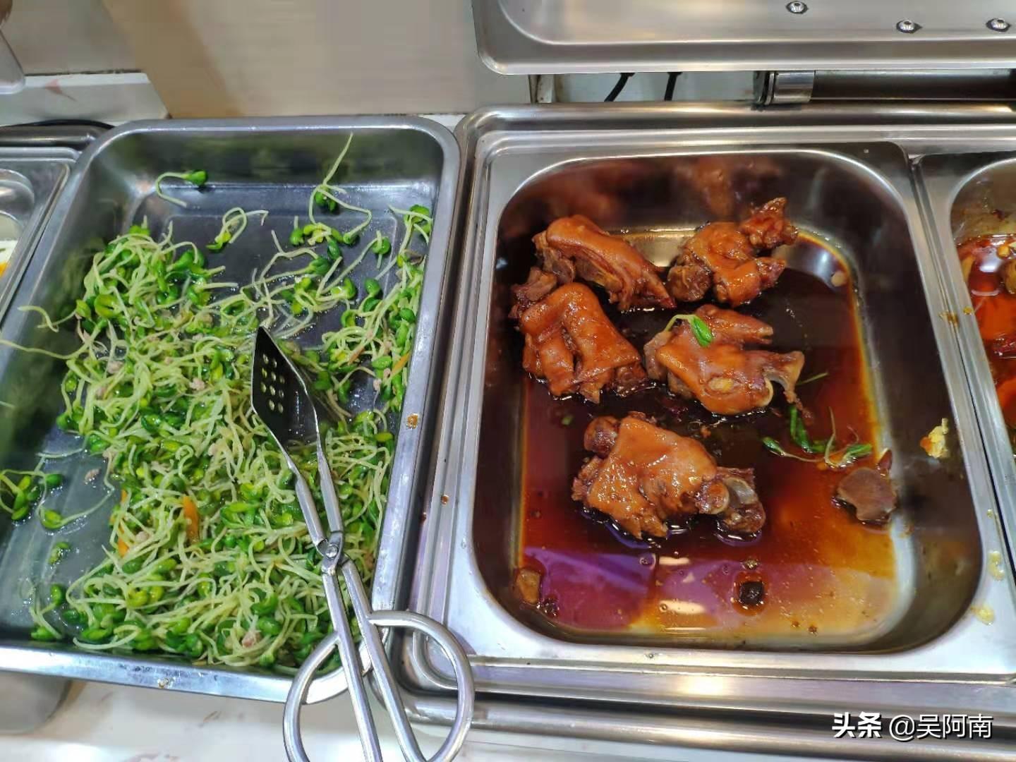 豆芽价格深度解析，掌握市场动态，轻松洞悉豆芽市场趋势！