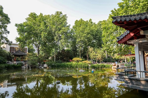 济南中山公园扩建最新进展，绿意盎然中的温情故事拓展揭秘