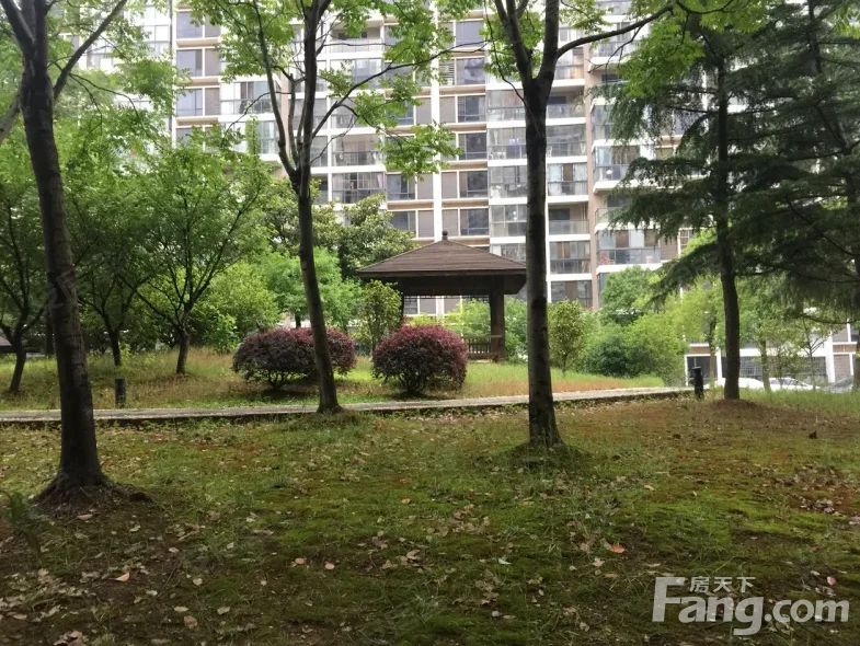 句容世茂花园最新房价详解，获取与理解房价信息指南