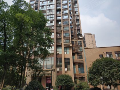 北新上锦最新动态与学习带来的自信闪耀
