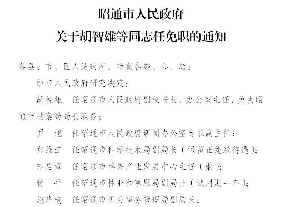 楚雄市新副市长上任，变化、学习与自信引领未来