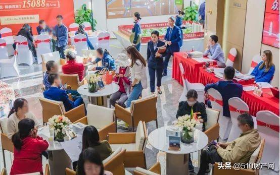 揭秘金字塔最新布局图，阶梯结构的成功之道